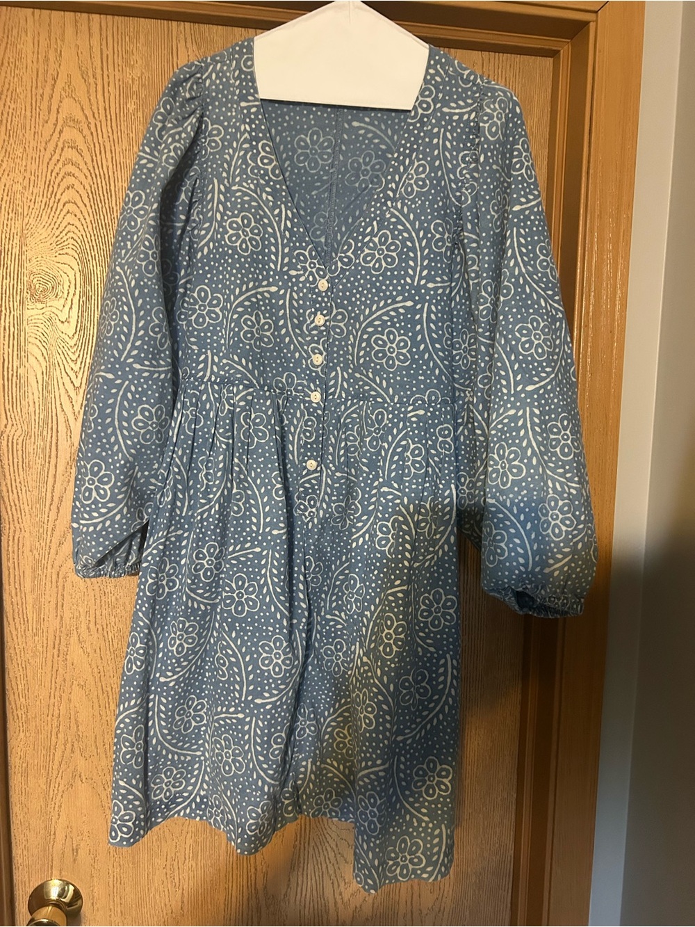 Madewell Blue and White Floral Button-Front Dress